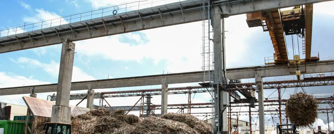 Balance canne à sucre