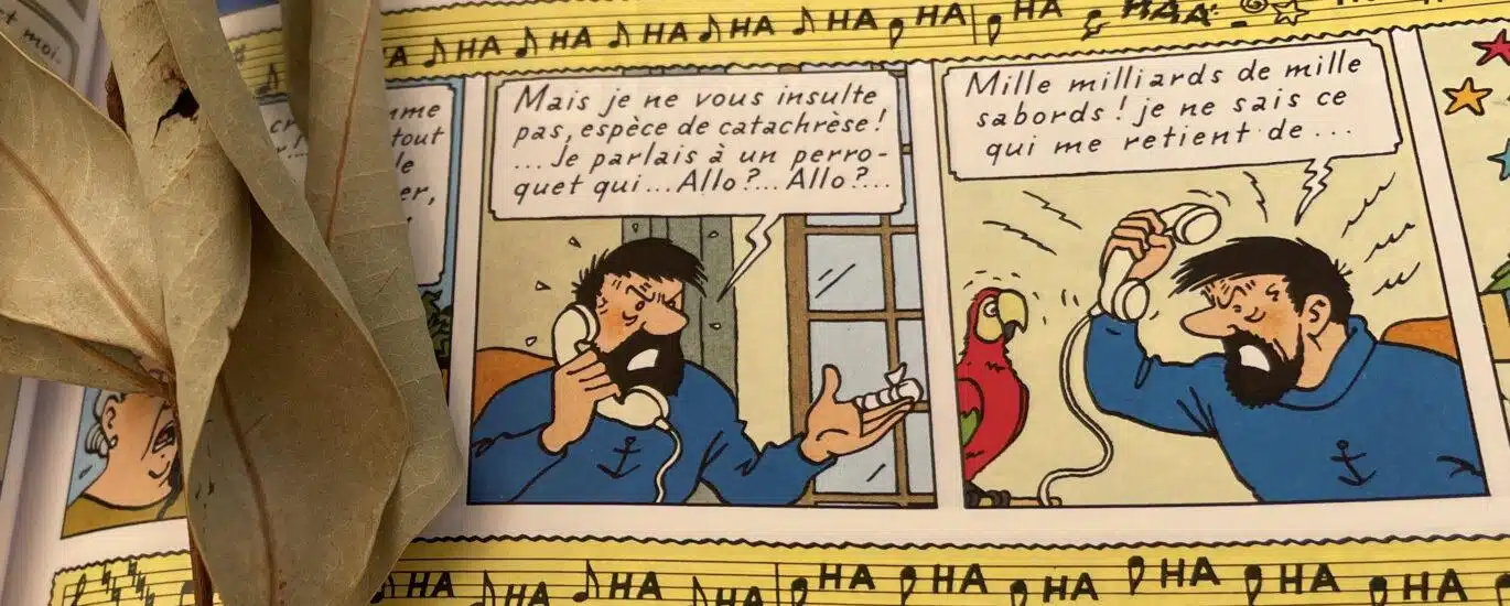 anacoluthe Capitaine Haddock
