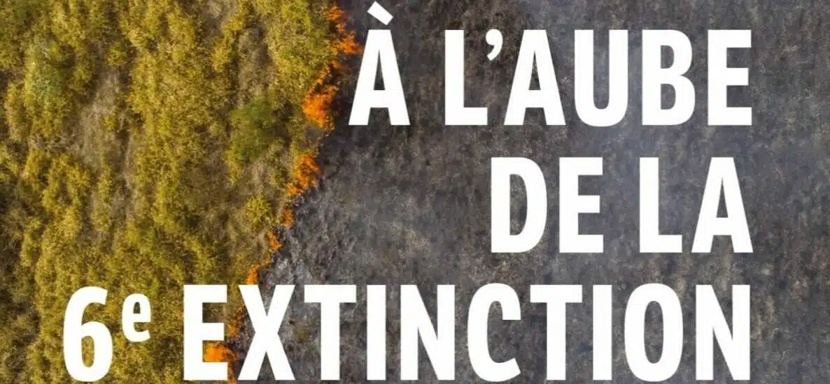A l'aube de la 6ème extinction