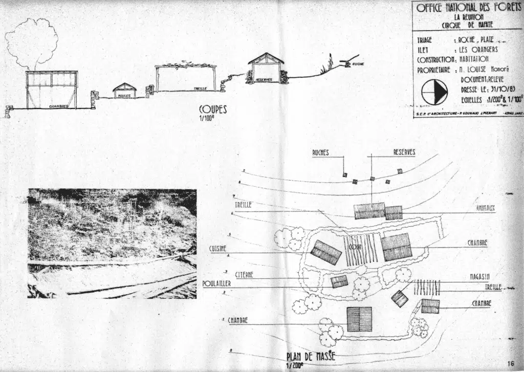 Ravine Grand Mère Mafate