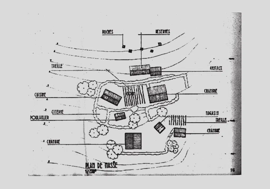 Ravine Grand Mère Mafate