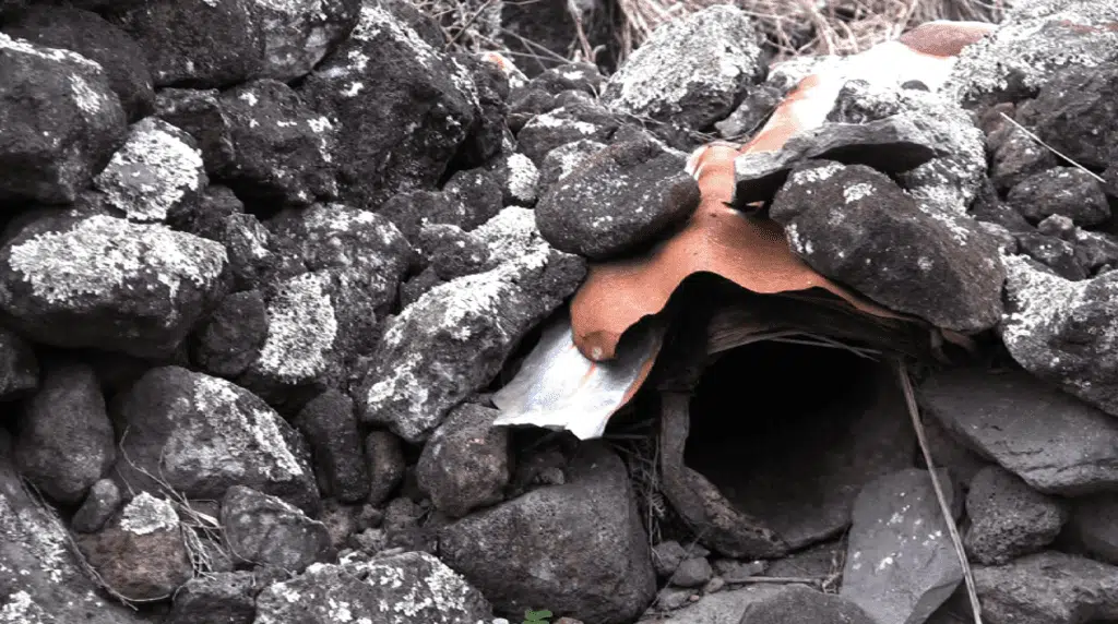 Mafate Ravine Grand Mère chez Paul Mélade