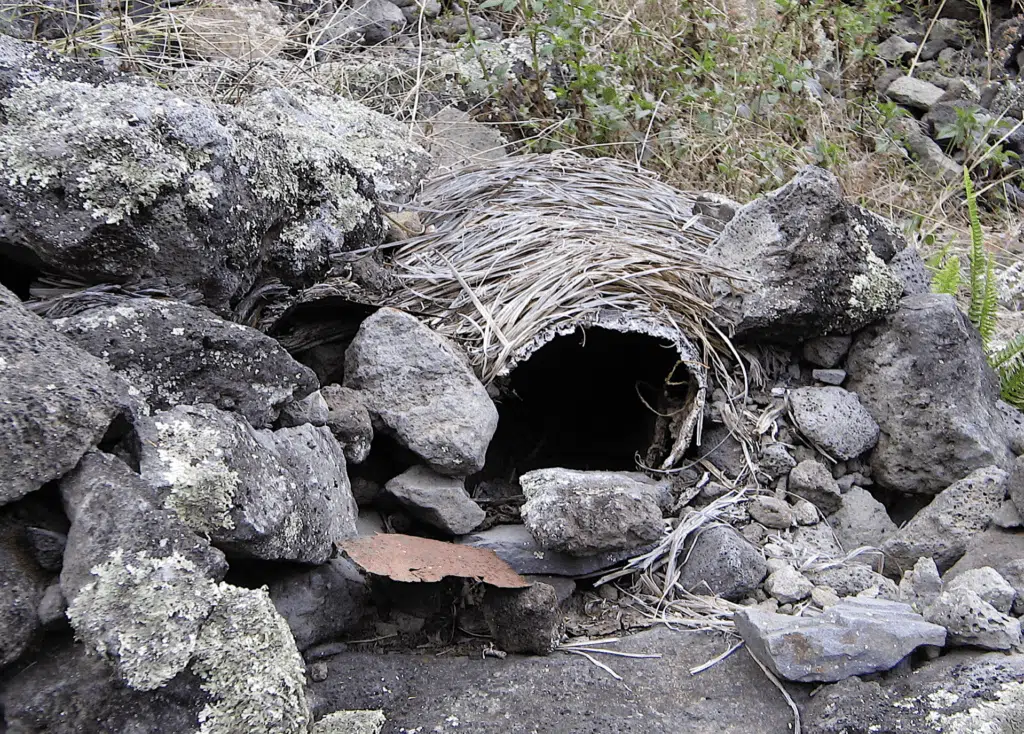 Mafate Ravine Grand Mère chez Paul Mélade