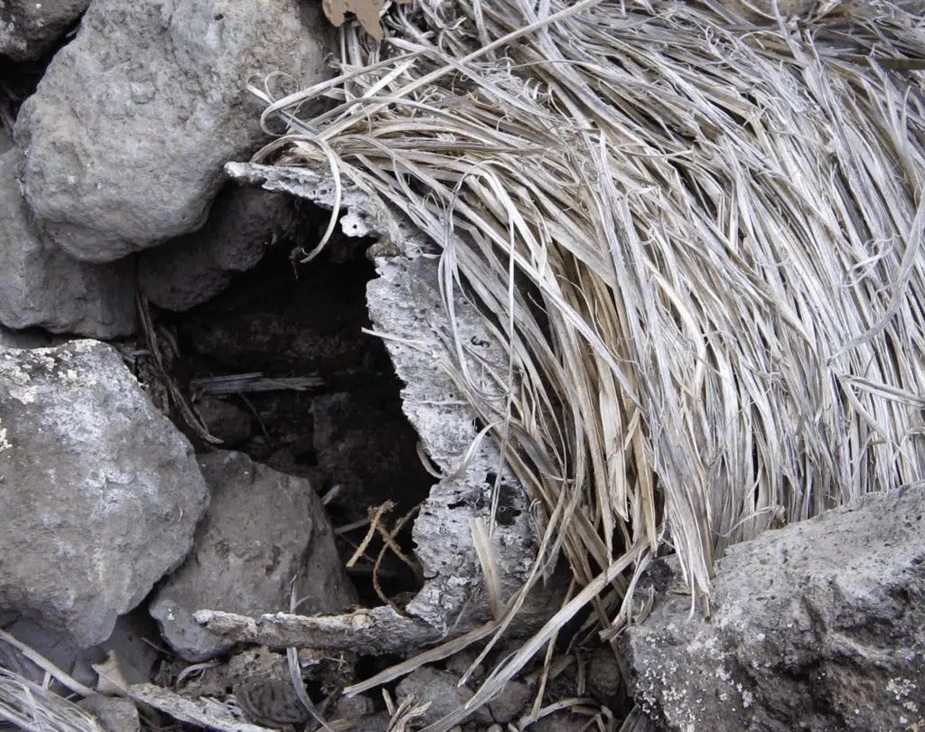 Mafate Ravine Grand Mère chez Paul Mélade