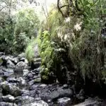 « Le caractère naturel de Mafate… » Ravine le Jar – Bas du Chemin charrette à La Nouvelle