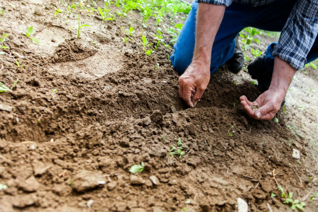agriculture