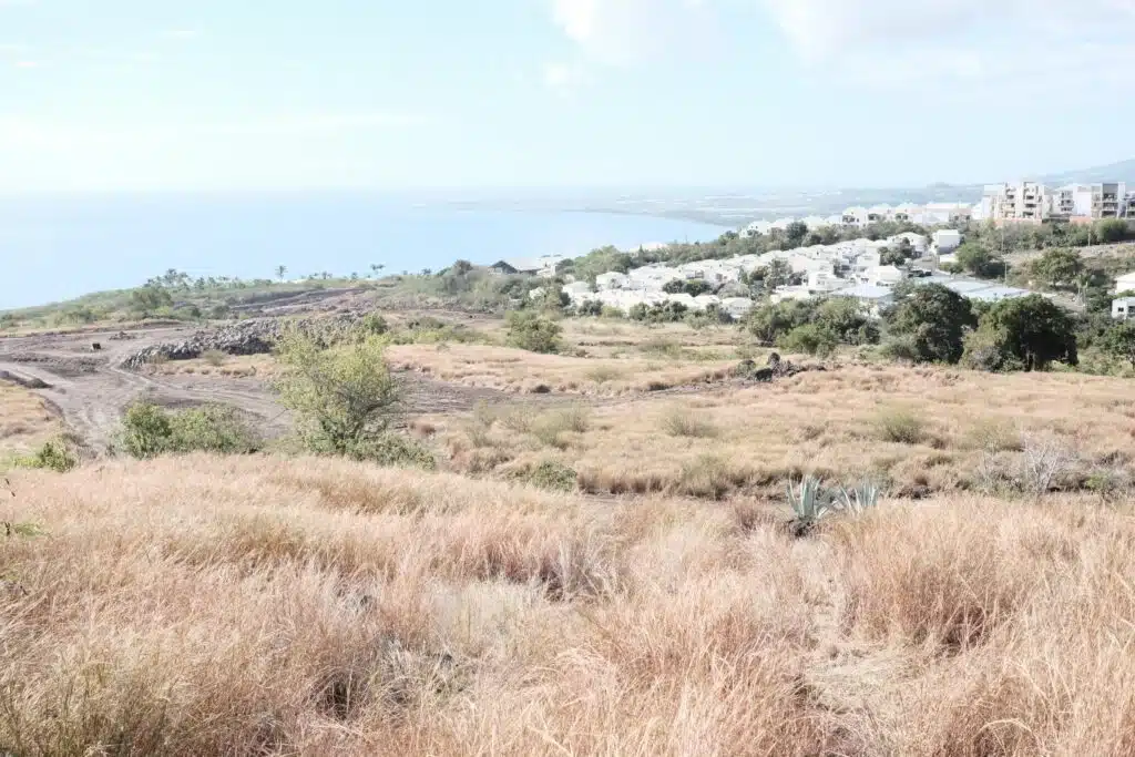 Elie Payet Protège nout savane Plateau-Caillou Saint-Paul