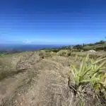 Agriculture Charrié Petite Ile Ravine du Pont