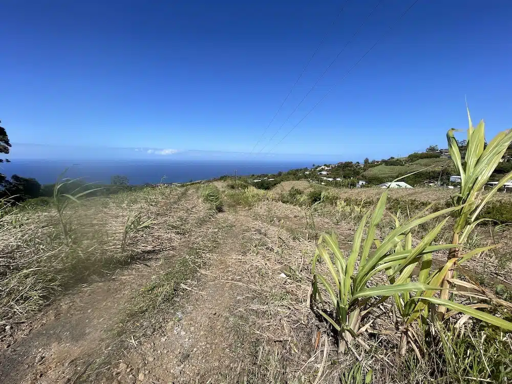 Agriculture Charrié Petite Ile Ravine du Pont