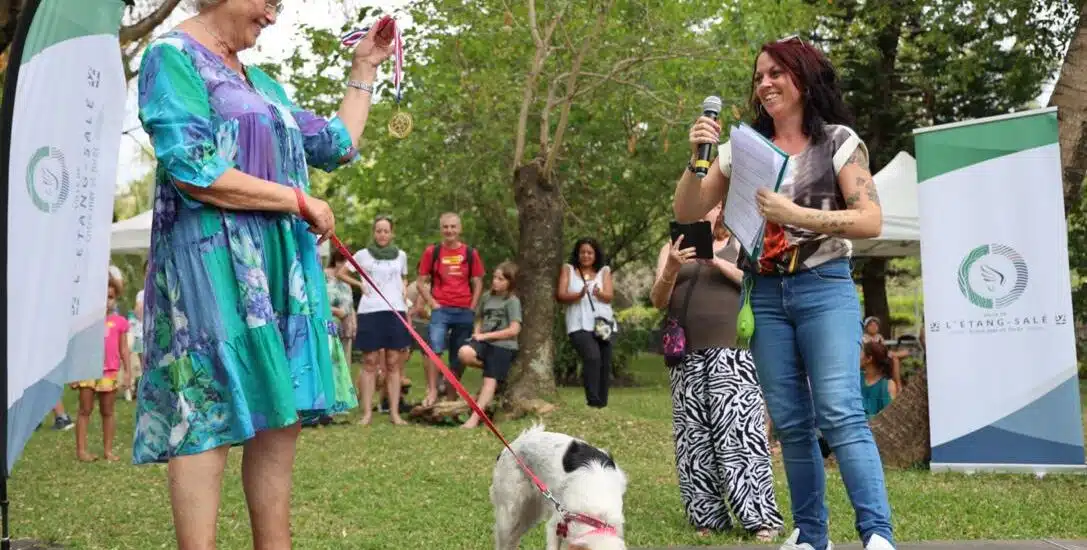 Festival des animaux à l'Etang-Salé