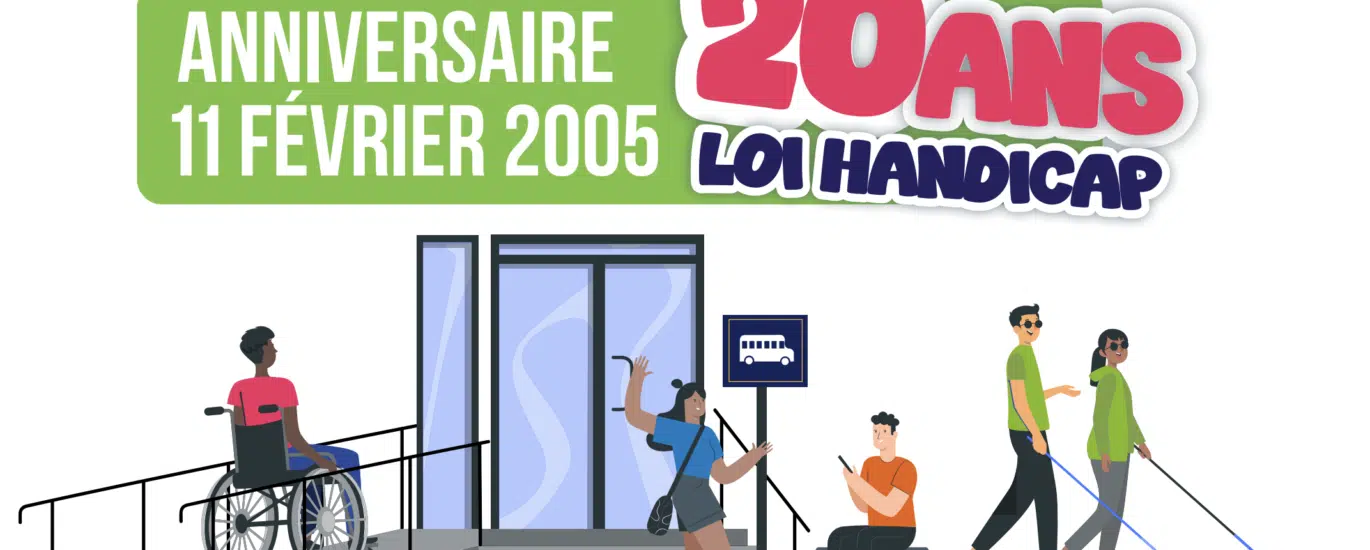 Affiche IRSAM Pétrel Loi Handicap 20 ans