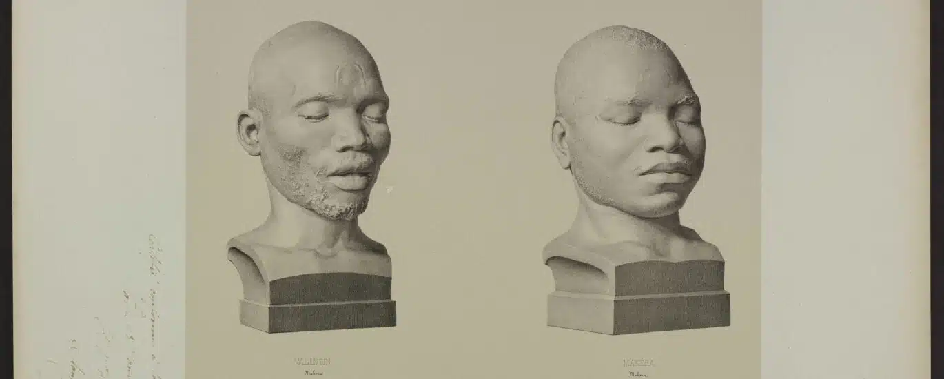 Cette estampe de Leveillé représente les « bustes moulés sur nature » par Dumoutier. Elle portent les mentions de Valentin Makoua Afrique orientale et de Makéra, Makoua, Afrique orientale. Muséum national d’Histoire naturelle, EST VOY 3, pl.21.