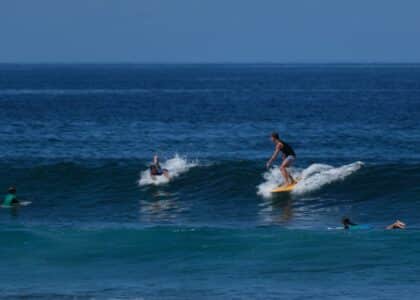Surf spot de Trois-Bassins vigies requin