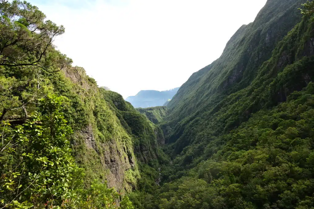 Vue imprenable sur Mafate depuis l'échelle en réparation. © Olivier Ceccaldi