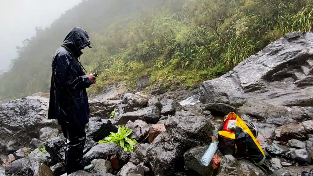 Expédition botanique et maronage dans les hauts de Salazie avec Rémi-Paul Grondin
