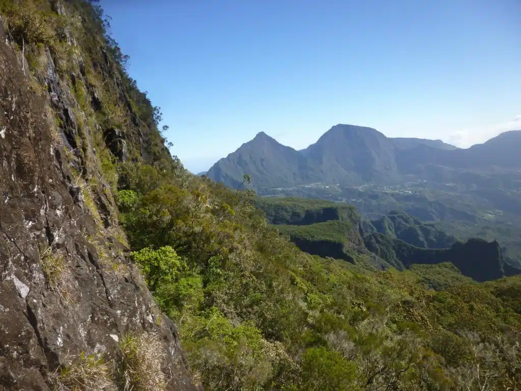 Expédition botanique et maronage dans les hauts de Salazie avec Rémi-Paul Grondin