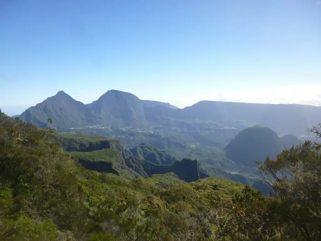 Expédition botanique et maronage dans les hauts de Salazie avec Rémi-Paul Grondin