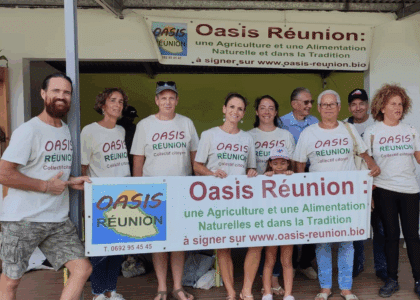 Oasis Réunion