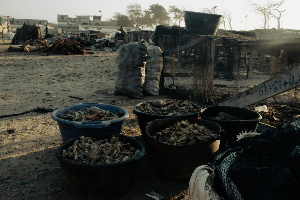Transformation des poissons en produits sous conserve.