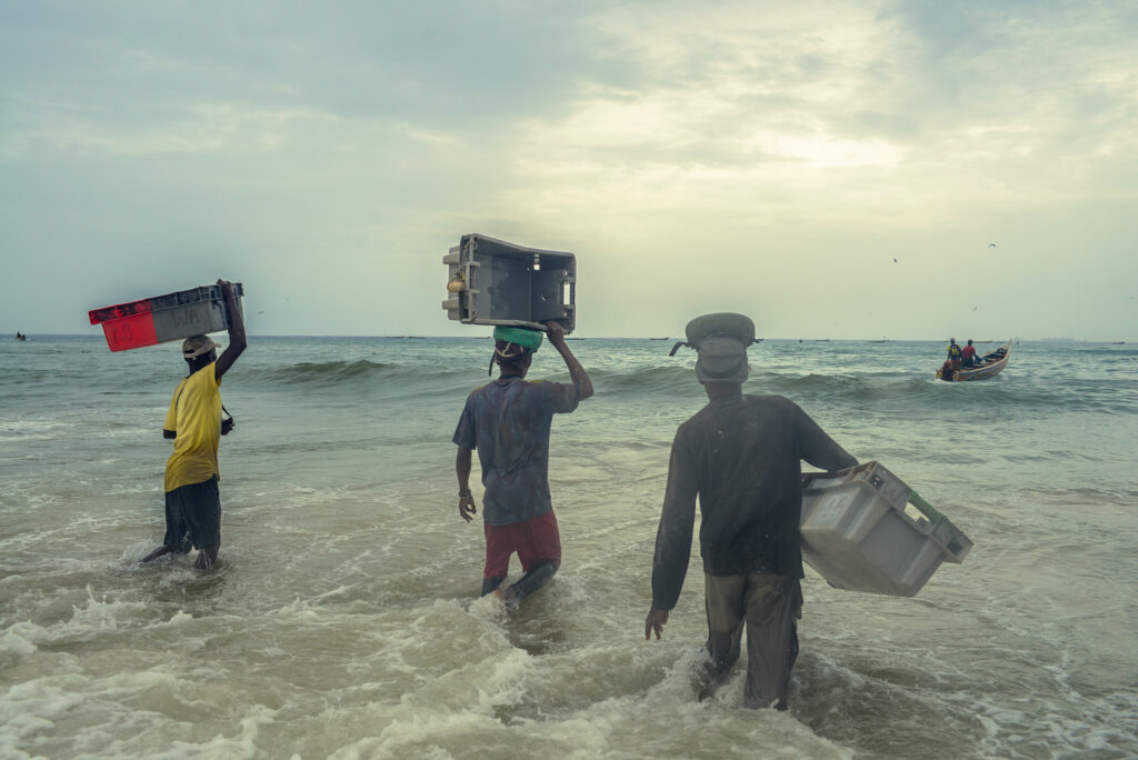 Les hommes se pressent pour aller récupérer les poissons. Il faut aller vite car les bateaux ne s'arrêtent que quelques minutes avant de repartir en mer.