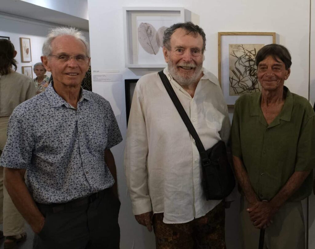 Thierry Hubert, Roger Lavergne, Karl Télégone, exposition galerie Hang'Art, Saint-Pierre, exposition Karl Télégone