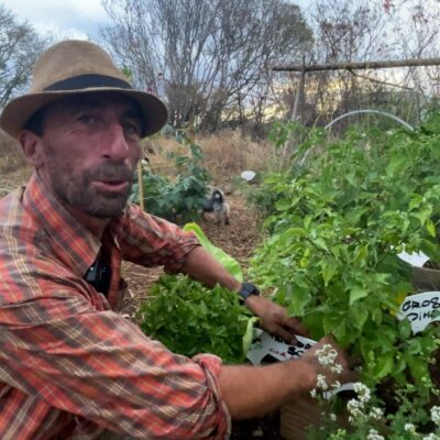 jardin partagé des cytises