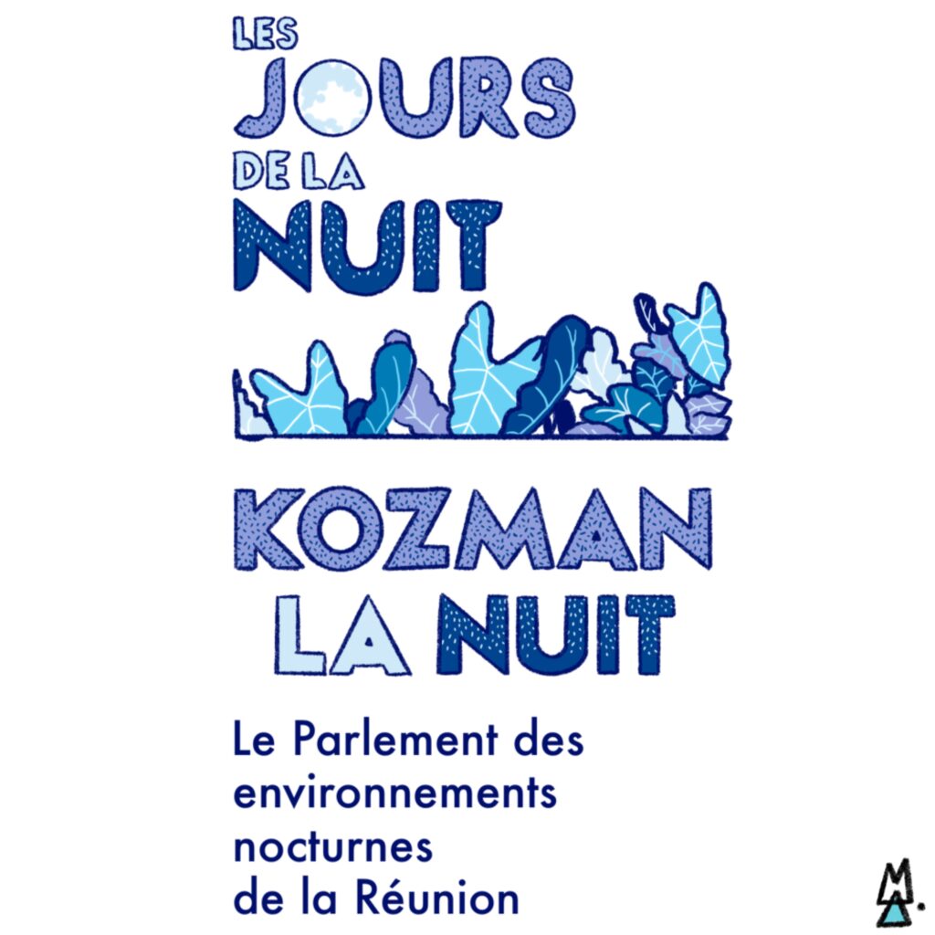 Les jours de la nuit, kozman la nuit. BD reportage d'Alex Mesley