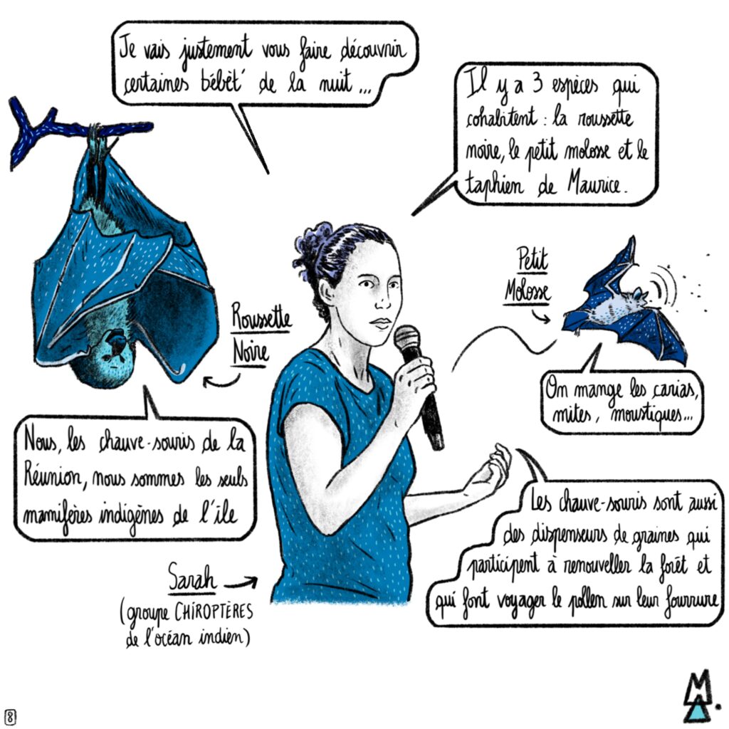 Les jours de la nuit, kozman la nuit. BD reportage d'Alex Mesley