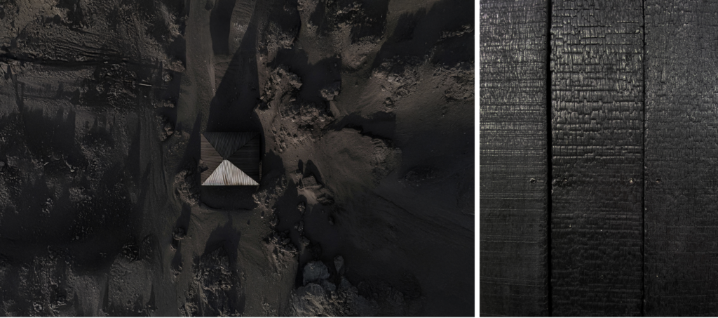 Darkwood. Projet fictif à partir de photographies et d'IA. Imaginé au Piton de la Fournaise.