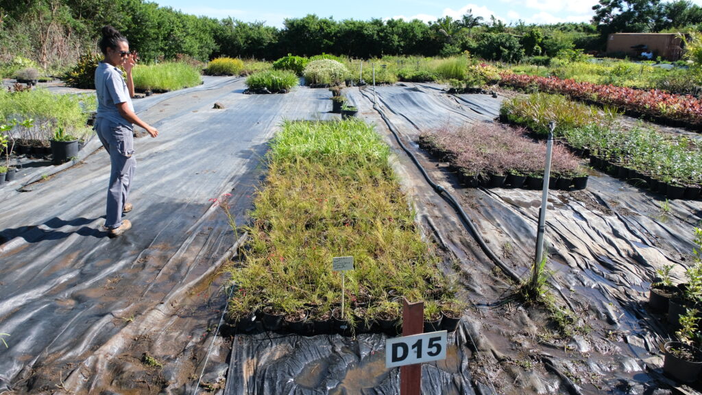 Eva Toussaint, adjointe direction d'exploitation. Visite de site.